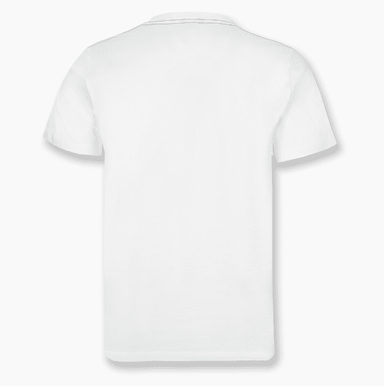 T-SHIRT SCANIA BIANCA SCRITTA NERO - immagine 2