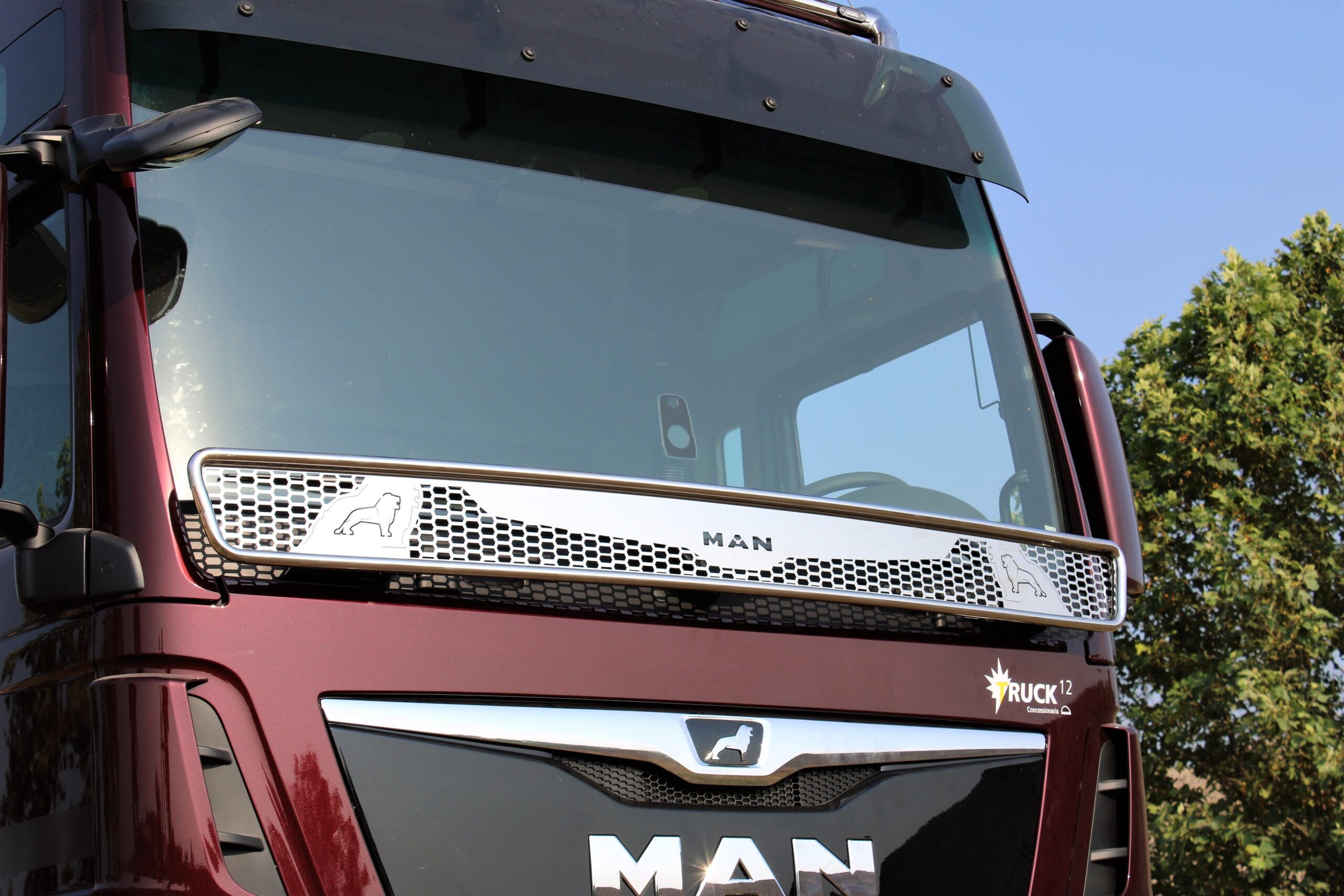Griglia para tergi Man TGX 2020