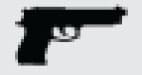 Gun
